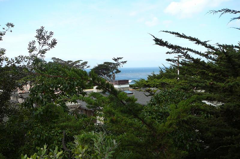 Carmel 10-30-08 031.jpg